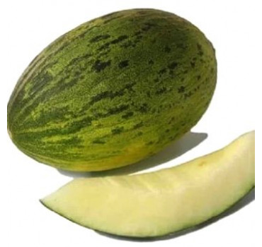 Диня  KS 775 F1, Kitano Seeds