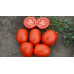 Томат 1510 F1, Spark seeds