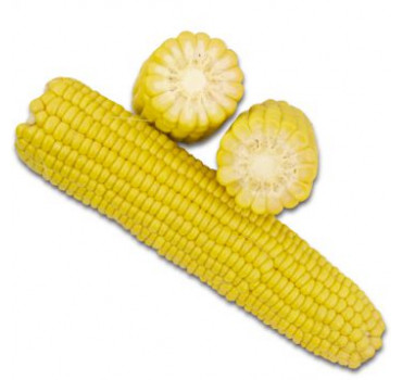 Кукурудза 1708 F1, Spark seeds