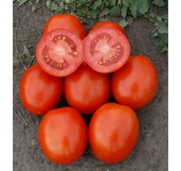 Томат 1807 F1, Spark seeds