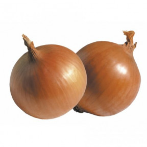 Лук Империос F1, Lark seeds