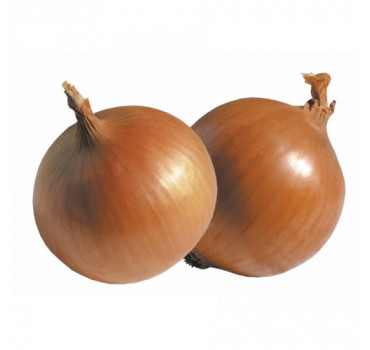 Цибуля Імперіос F1, Lark seeds