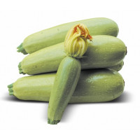 Кабачок Муфаса, Lark seeds