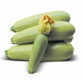 Кабачок Муфаса, Lark seeds