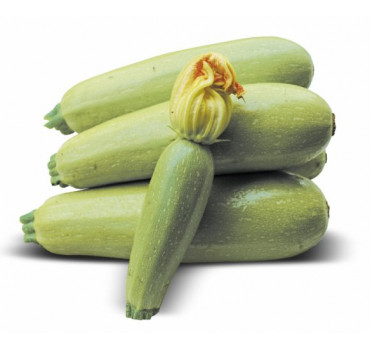 Кабачок Муфаса, Lark seeds