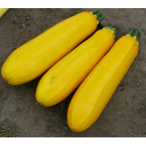 Кабачок Голдстік, Lark seeds