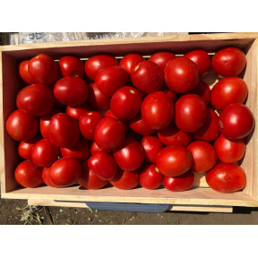 Томат 9969 F1, Spark seeds