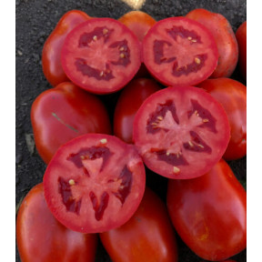 Томат 9985 F1, Lark seeds