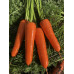 Морква Йорк F1, Spark Seeds