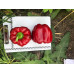 Перець Аіда F1, Spark seeds