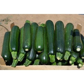 Кабачок Базальт, Spark seeds