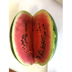 Кавун Дата F1, Spark seeds