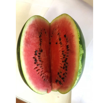 Кавун Дата F1, Spark seeds