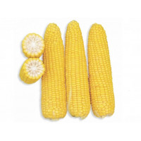 Кукурудза Добриня, Lark seeds