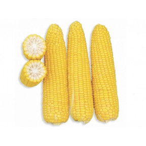 Кукуруза Добрыня, Lark seeds