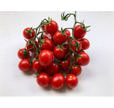 Томат Дредд F1, Spark seeds