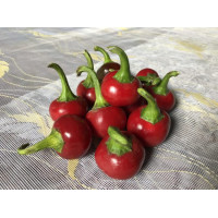 Перець Глобус F1, Spark seeds