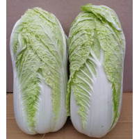 Капуста Індекс F1, Spark seeds