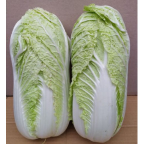 Капуста Індекс F1, Spark seeds