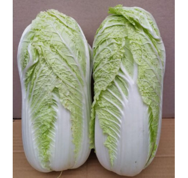 Капуста Індекс F1, Spark seeds