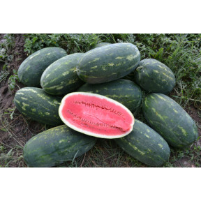 Арбуз Юмми F1, Lark seeds