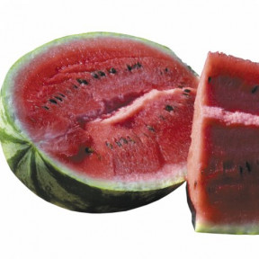 Арбуз Ледус F1, Lark seeds