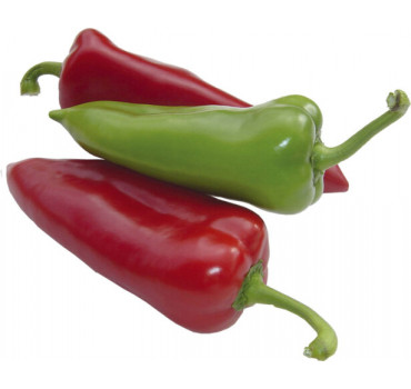 Перець Магус F1, Lark seeds (ZKI)