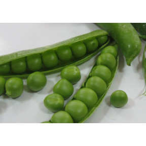 Горох Продіджі, Spark seeds Горох Продіджі, Spark seeds