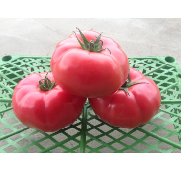 Томат Сапфір F1, Spark seeds