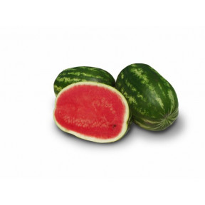 Кавун Юта F1, Spark seeds