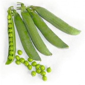 Горох Вондер, Spark seeds Горох Вондер, Spark seeds