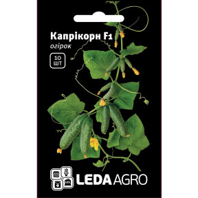 Огірок Капрікорн F1, Ledaagro