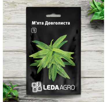 М'ята Довголиста, Ledaagro
