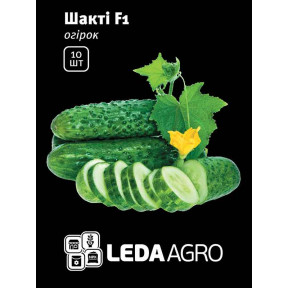 Огірок Шакті F1, Ledaagro Огірок Шакті F1, Ledaagro