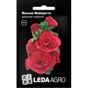 Мальва Майоретте, Ledaagro