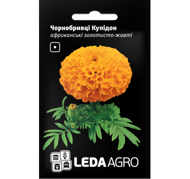 Чорнобривці  Купідон, Ledaagro