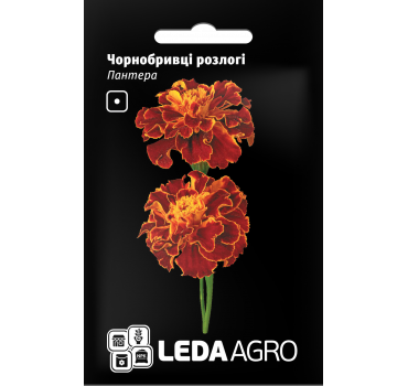 Чорнобривці розлогі Пантера, Ledaagro