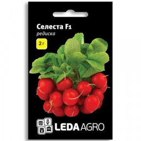 Редиска Селеста F1, Ledaagro Редиска Селеста F1, Ledaagro