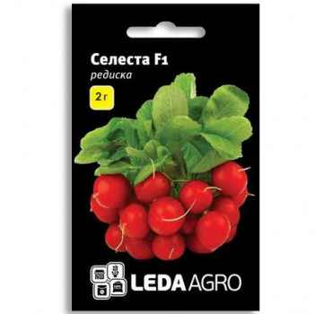 Редиска Селеста F1, Ledaagro