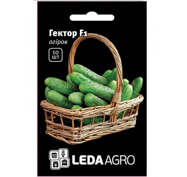 Огірок Гектор F1, Ledaagro