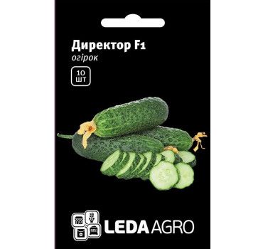 Огірок Директор F1, Ledaagro Огірок Директор F1, Ledaagro