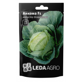 Капуста Анкома F1, Ledaagro Капуста Анкома F1, Ledaagro
