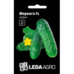 Огірок Меренга F1, Ledaagro