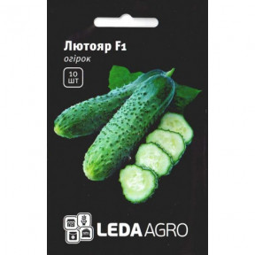 Огірок Лютояр F1, Ledaagro
