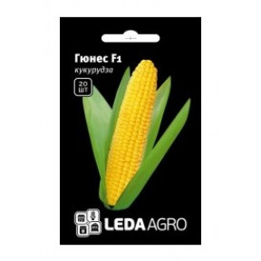 Кукурудза Гюнес F1, Ledaagro