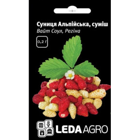 Суниця Альпійська F1, Ledaagro