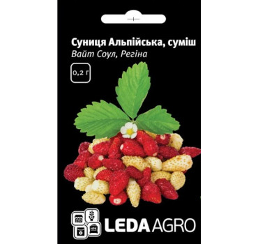 Суниця Альпійська F1, Ledaagro