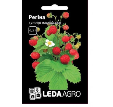 Суниця Регіна, Ledaagro