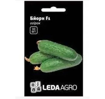 Огірок Бйорн F1, Ledaagro