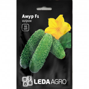 Огірок Амур F1, Ledaagro